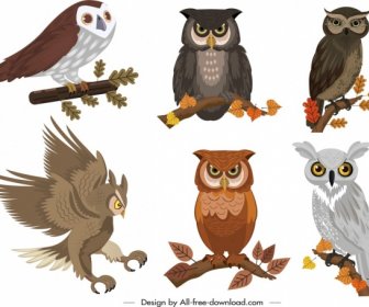 Owl Icons Collection Colored Cartoon Design