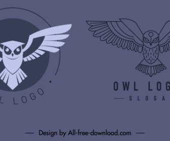 Owl Logo Template Classic Flat Sketch
