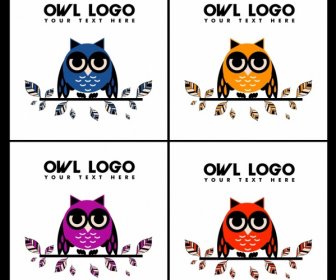 owl logotypes multicolored sketch leaves decoration