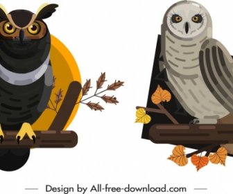 Owl Species Icons Colored Classical Design