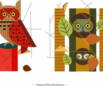 Owl Wild Animal Icons Colored Classical Design