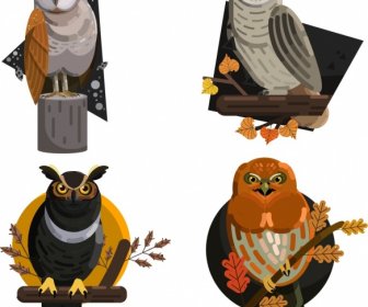 Owl Wild Animals Icons Colored Cartoon Sketch