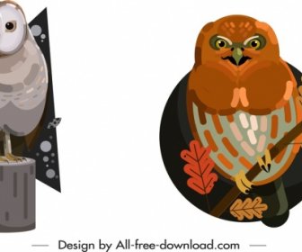 Owl Wild Animals Icons Colored Classical Design