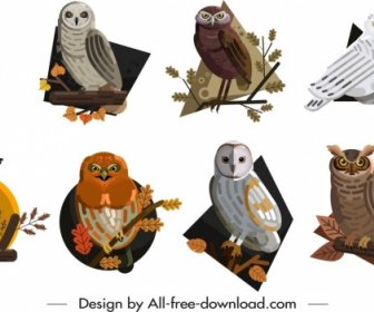 Owls Icons Collection Colored Cartoon Sketch