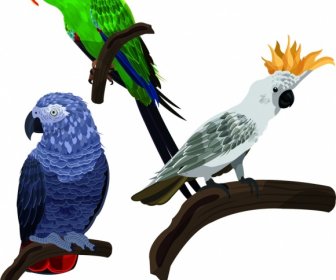 Parrot Icons Perching Gesture Design Colorful Sketch