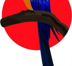 鸚鵡畫五顏六色的鳥圖示素描