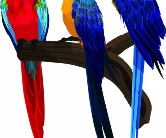 Parrots Painting Perching Bird School Icon Colorful Design