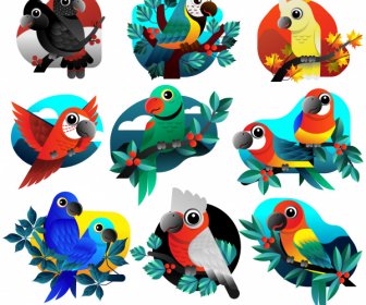Parrots Species Icons Colorful Flat Sketch