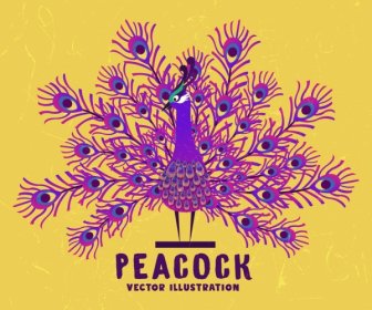 Peacock Background Violet Feather Decoration