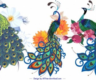 Peacock Icons Colorful Classical Handdrawn Sketch
