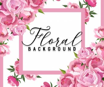 Peonies Petals Background Blooming Pink Decor Symmetric Layout