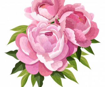 Peony Flower Painting Colored Vintage Design
