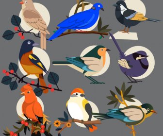 perching birds icons elegant colorful sketch