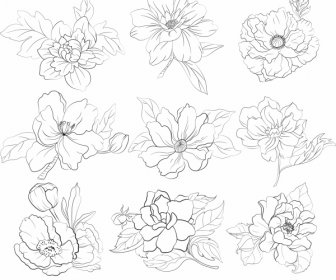 Blütenblätter Symbole Schwarz Weiß Handgezeichnete Skizze