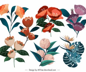 Petals Icons Colorful Classical Design