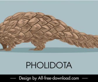 Pholidota Arten-Ikone Klassische Handgezeichnete Skizze