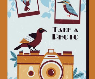 Photography Background Retro Design Bird Camera Decor