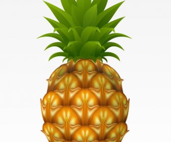 Ananas Design Elemente Vektorgrafik