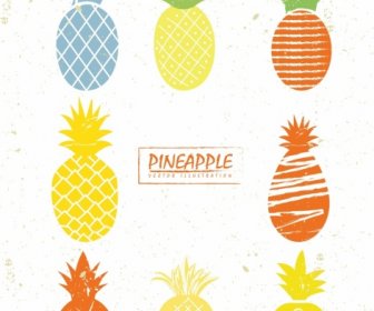 Ananas Icone Raccolta Vari Design Di Colore