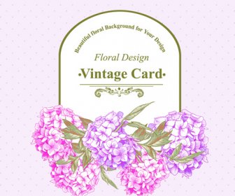 Vector Cartão Vintage Floral Rosa