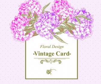 Vector Tarjeta Vintage Floral Rosa