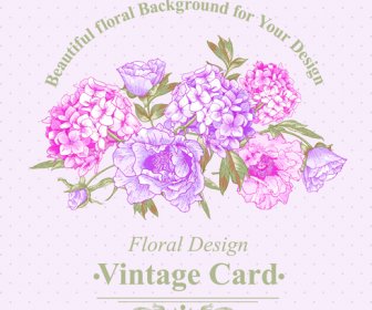 Vector Tarjeta Vintage Floral Rosa