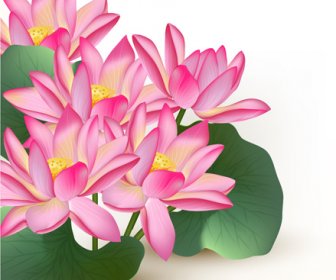 Pink Lotus Design Elements Vector