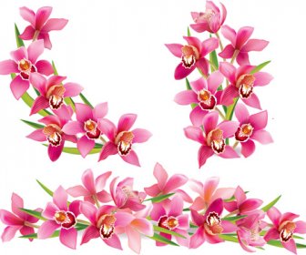Pink Orchids Design Vector -2