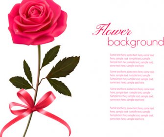 Pink Rose Fondo Hermoso De Vectores