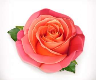 Rose Rose Avec Des Feuilles Vertes Vecteur