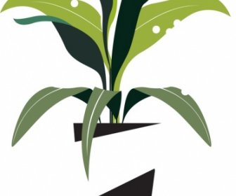 Pflanze Hintergrund Grüne Blätter Topf Symbole Dekor