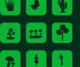 El Diseño De La Planta Elementos Diversos Icono Verde Aislamiento