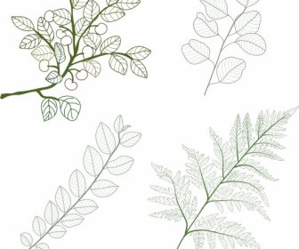 Pflanze Icons Grünes Blatt Zweig Skizze