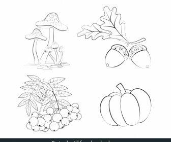 Icone Vegetali Disegnati A Mano Funghi Castagne Schizzo