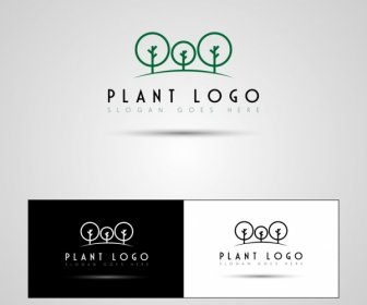 Tanaman Logo Set Ikon Dekorasi Pohon