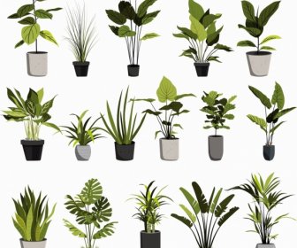 Vasos De Plantas ícones Clássico Verde Cinza Esboço