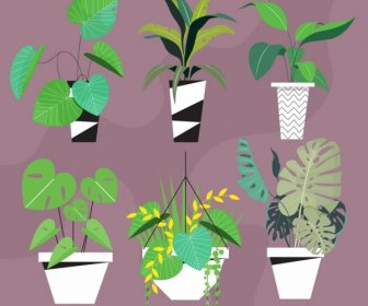 Plant Pots Icons Green Leaves Decor Classical Design