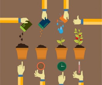 Planting Process Concept Design With Infographic Style
