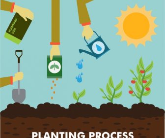 Planting Process Concept Illustration With Colored Flat Style