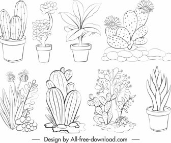 Plants Icons Black White Handdrawn Sketch