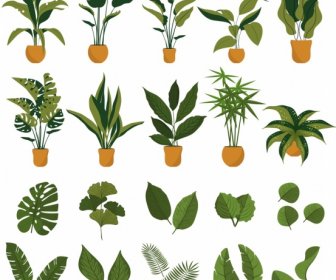 растения иконки коллекция листья горшки символы