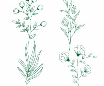 Plants Icons Green Flat Handdrawn Leaf Flora Sketch