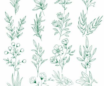 Plants Icons Green Handdrawn Leaf Botany Sketch