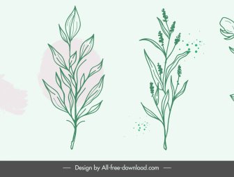 Plants Icons Retro Handdrawn Floras Leaves Sketch