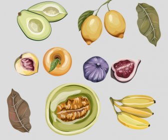 Pflanzen Icons Retro Handgezeichnete Früchte Blattskizze