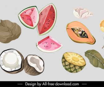 Pflanzen Icons Retro Handgezeichnete Wassermelone Kokosnuss Ananas Papaya