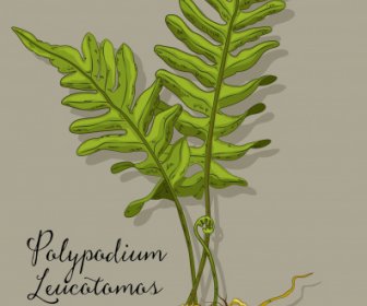полиподиум травы завод значок цветной классический эскиз