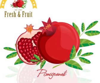 Pomegranate Advertisement Red Green Icon Shiny Design