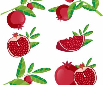Pomegranate Background Fruit Icons Various Shapes Isolation