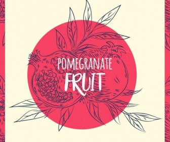 Pomegranate Drawing Handdrawn Outline Retro Design